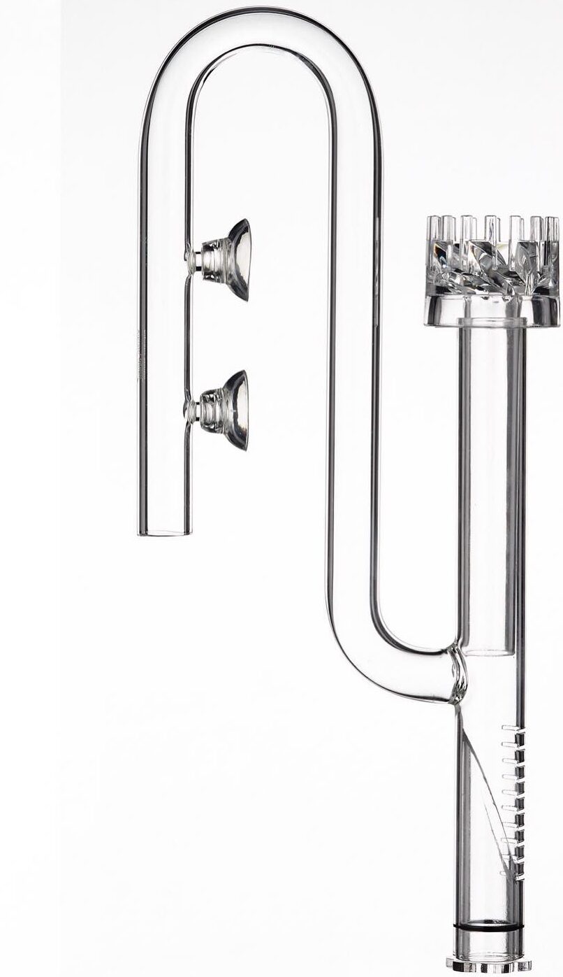 202507757_2924191717803823_2405345527740449032_n