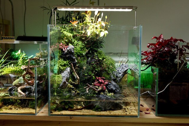Chihiros-estilo-ADA-aquasky-acero-inoxidable-fix-acuario-luz-LED-planta