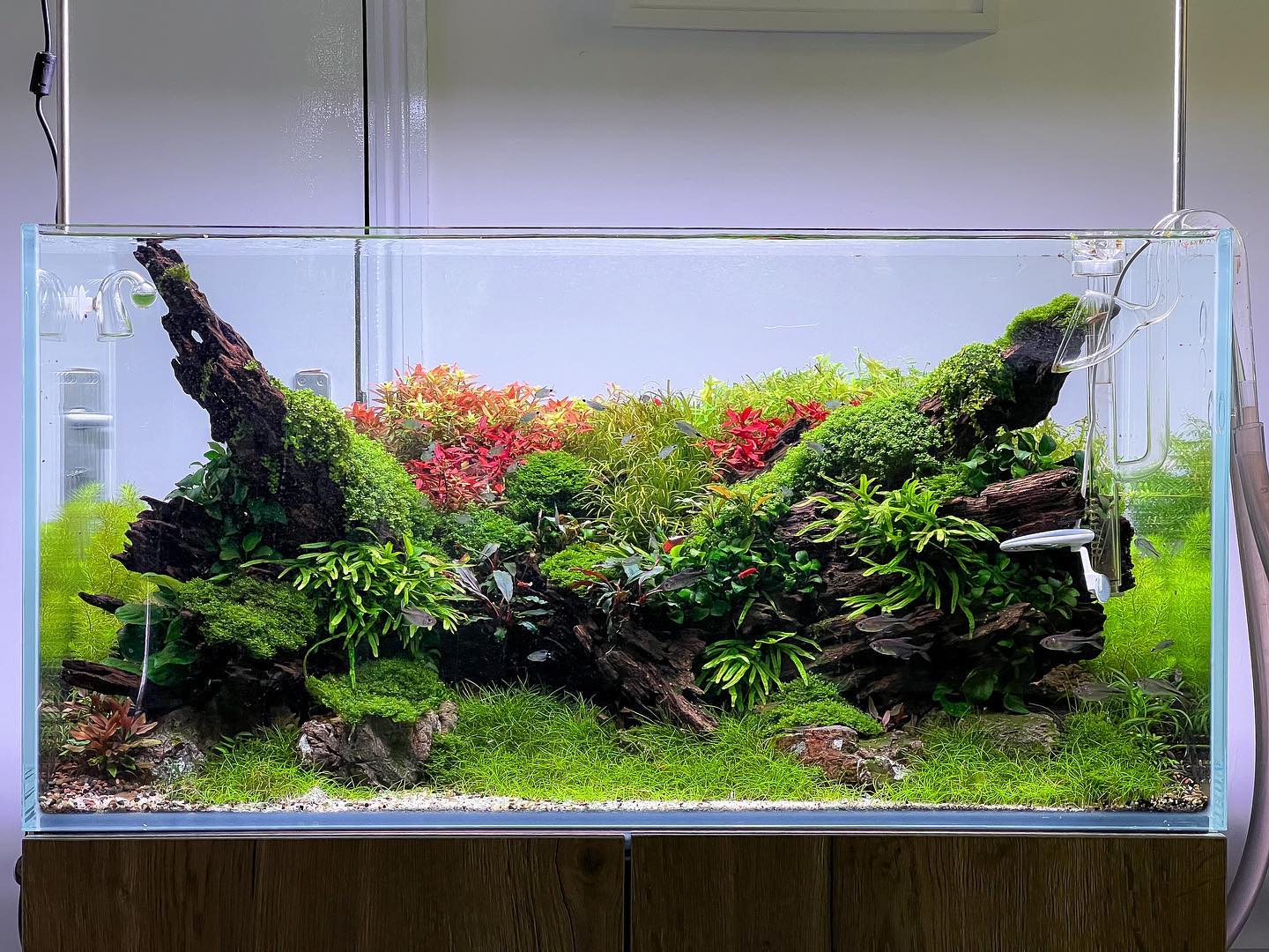 308658886_2146561148856410_1950627375859376117_n