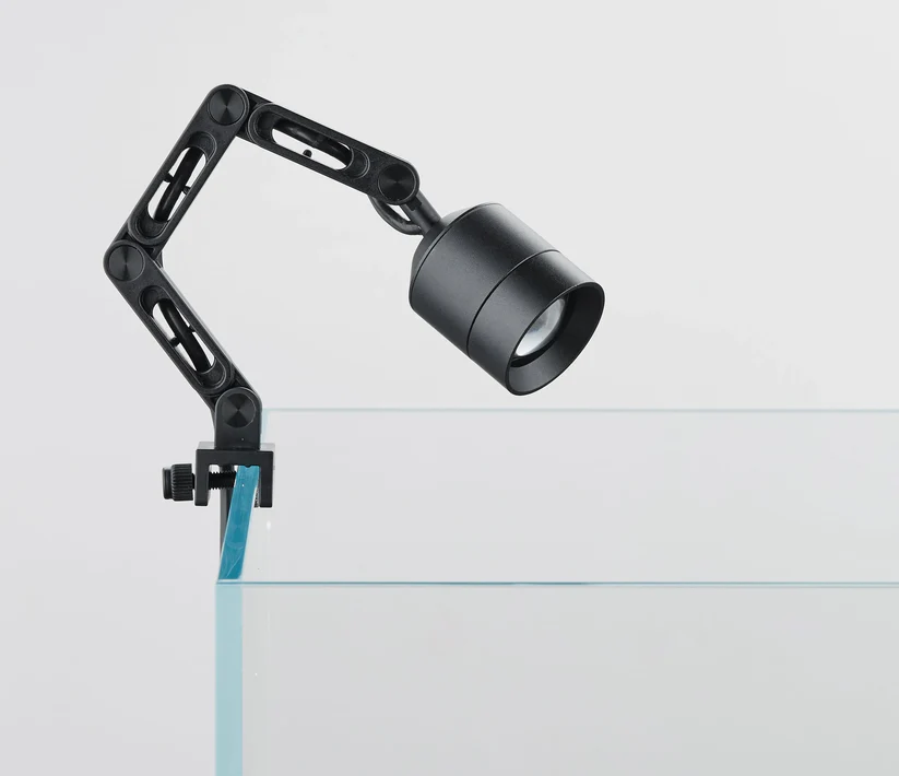 z ligth tiny-2