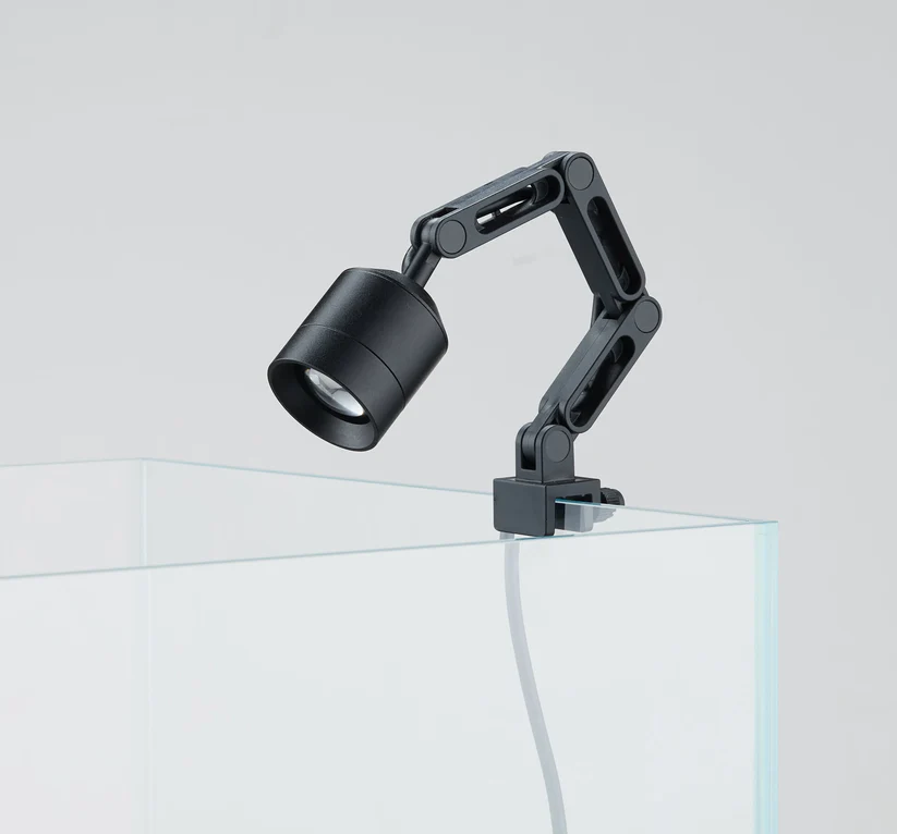 z ligth tiny-3