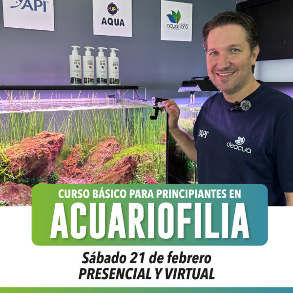 CURSO_BASICO.jpg
