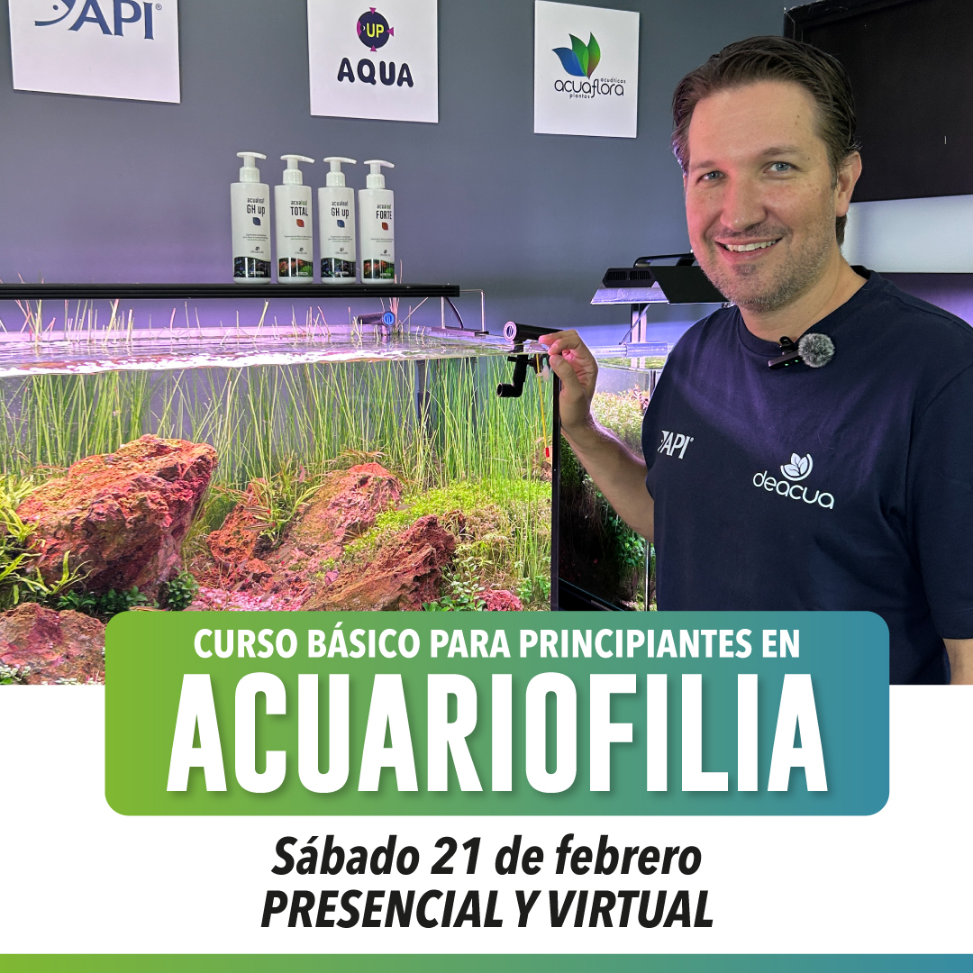 CURSO_BASICO.jpg
